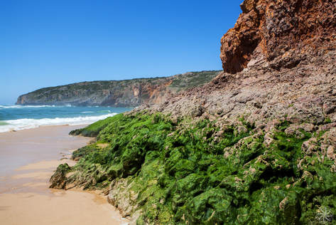 Zuidkust, Algarve, Portugal, kleuren, zomer, zee, paradijs
