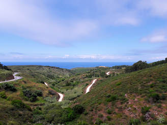 Cabo da Roca, Portugal, Sintra, groen landschap, begroeiing, Westkust Portugal